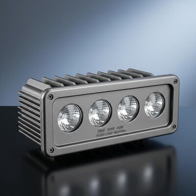 Vỏ đúc áp lực công nghiệp tùy chỉnh cho đèn đường 20W, 30W, 40W, có 4 thấu kính.